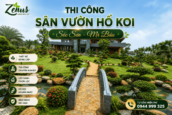 Thi Công Sân Vườn Hồ Koi Biệt Thực Sóc Sơn - Mr Báu