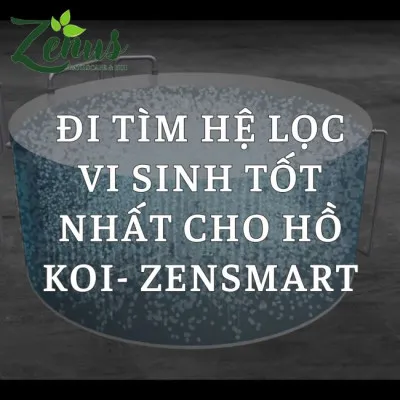 Khám Phá Hệ Lọc Nước Tạo Vi Sinh Zensmart Tốt Nhất Cho Hồ Koi