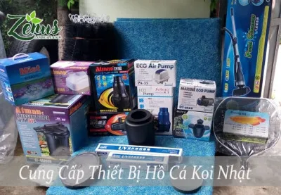 Đơn Vị Cung Cấp Thiết Bị Hồ Cá Koi, Vật Liệu Lọc Hồ Koi Tại Hà Nội