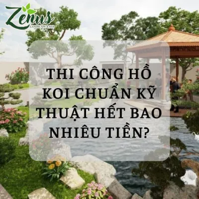 Thiết Kế Thi Công Hồ Koi Đúng Kỹ Thuật Nhật Hết Bao Nhiêu Tiền?