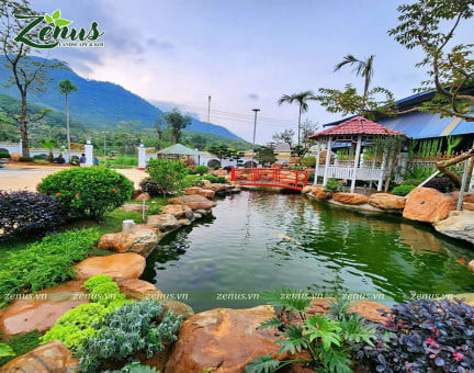 Thi Công Hồ Cá Koi Sân Vườn Biệt Thự Hoà Bình  - Mr Toàn