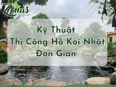 Hướng Dẫn Kỹ Thuật Thi Công Hồ Cá Koi Nhật 