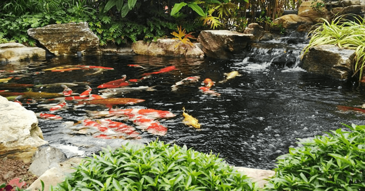 https://zenus.vn/image/cache/catalog/tin-tuc/pasted-image-0-1200x630.png