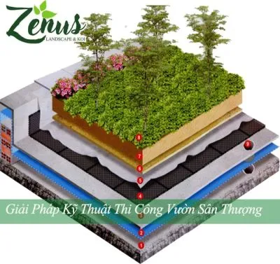 https://zenus.vn/image/cache/catalog/tin-tuc/vuon-mai/ky-thuat-thi-cong-vuon-tren-mai-zenus-min-400x300.webp