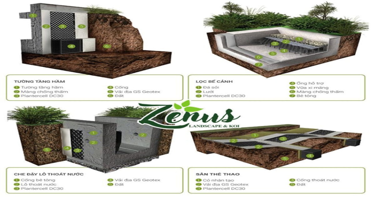 https://zenus.vn/image/cache/catalog/tin-tuc/vuon-mai/vi-thoat-nuoc-min-1200x630.jpg