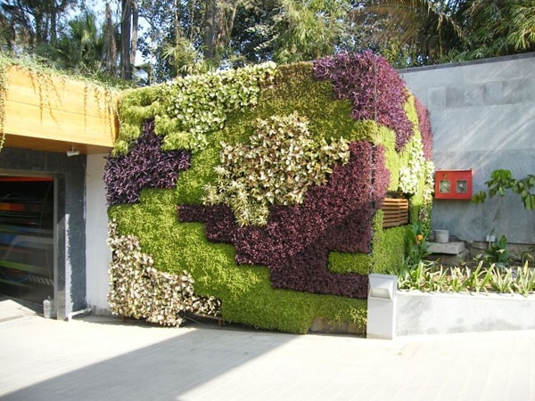 Thi công tường cây/ vườn trên tường Quảng Ninh
