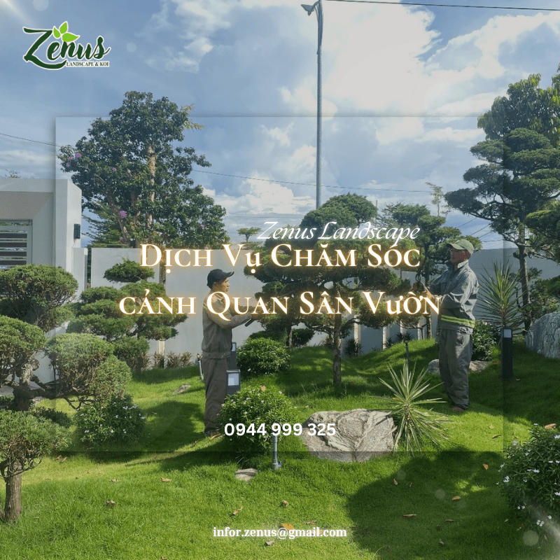 Dịch vụ chăm sóc sân vườn biệt thự