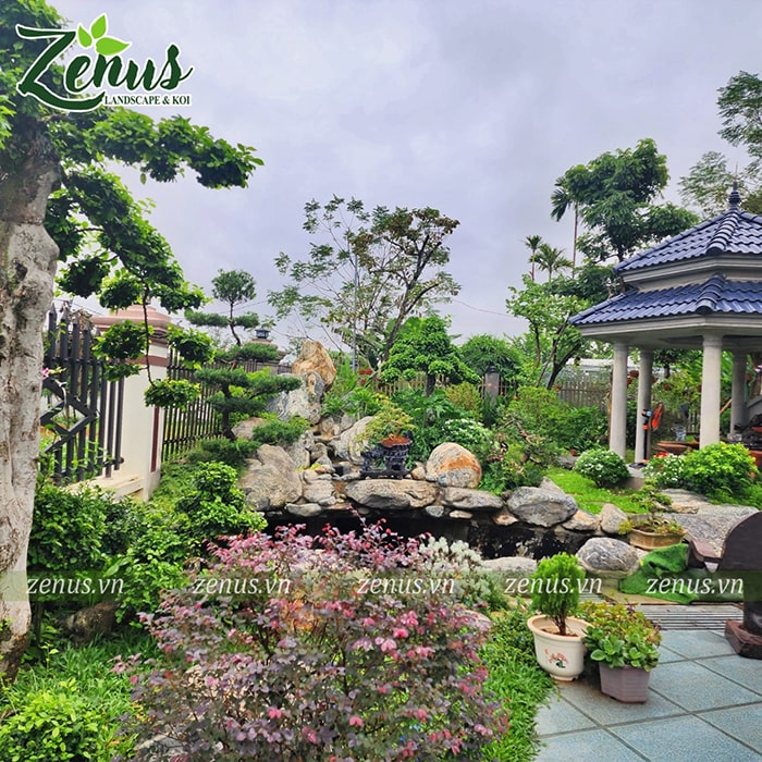 Zenus Landscape thiết kế thi công sân vườn
